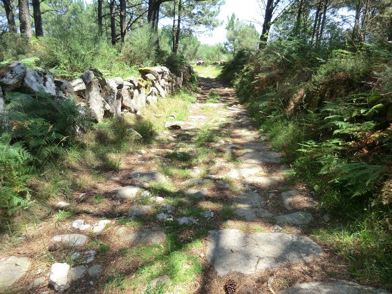 265.JPG