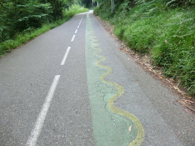 306.JPG