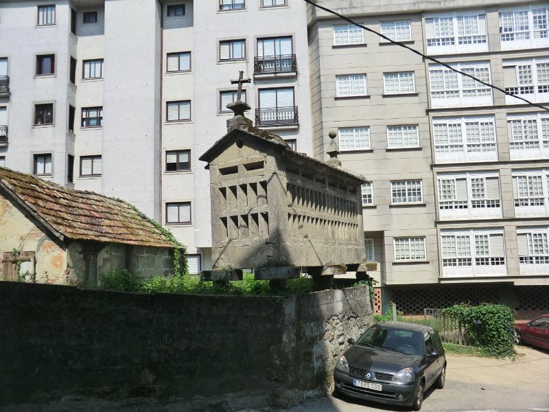319.JPG