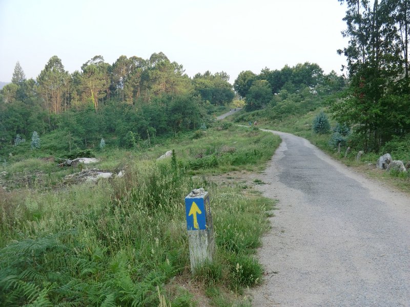 344.JPG