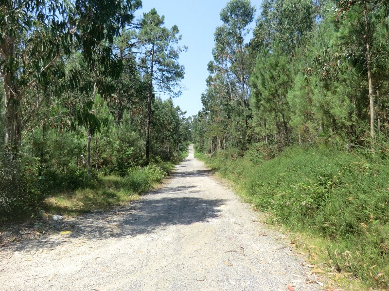 375.JPG