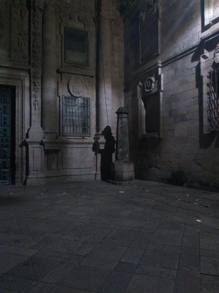 470.JPG