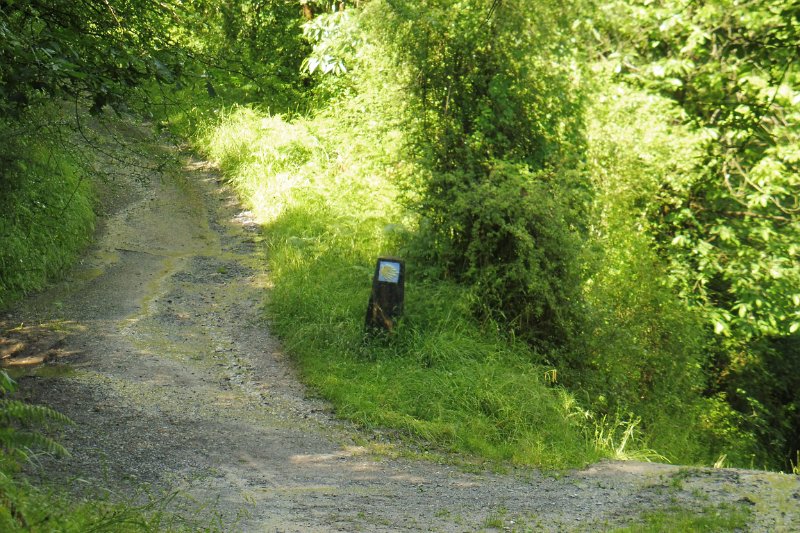 030.JPG
