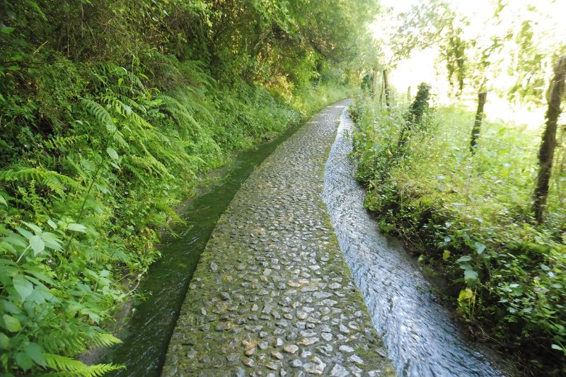034.JPG