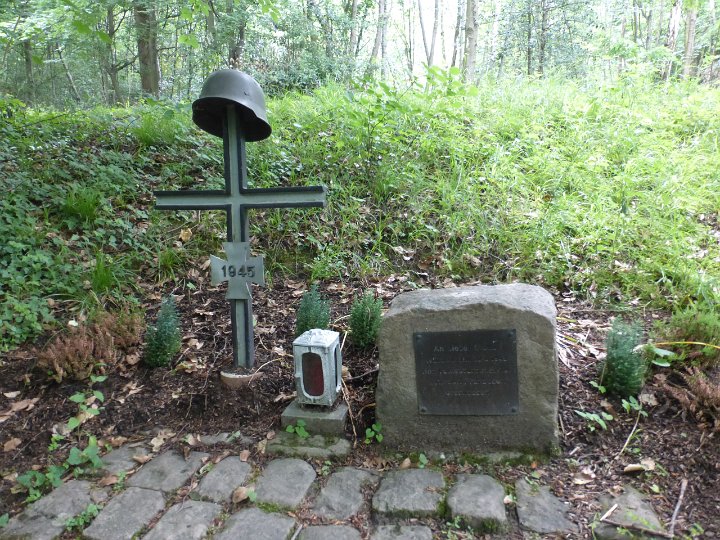 141.JPG