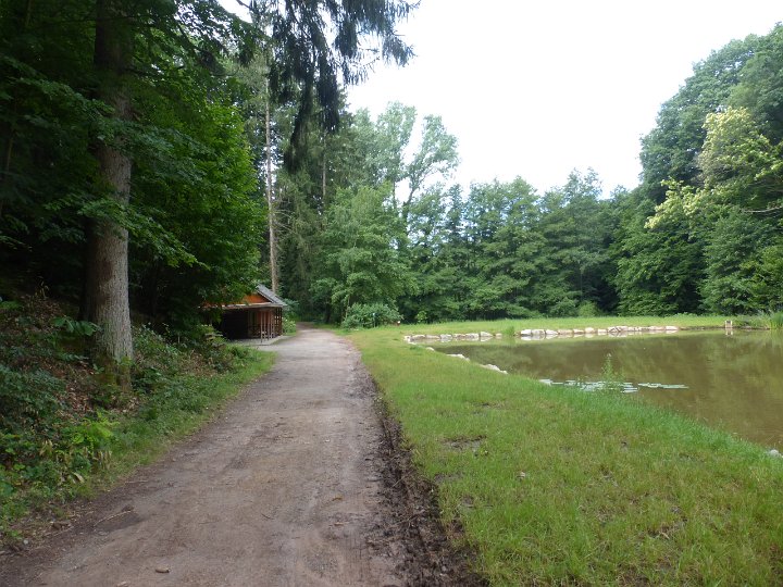 153.JPG