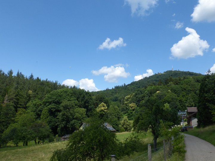 170.JPG