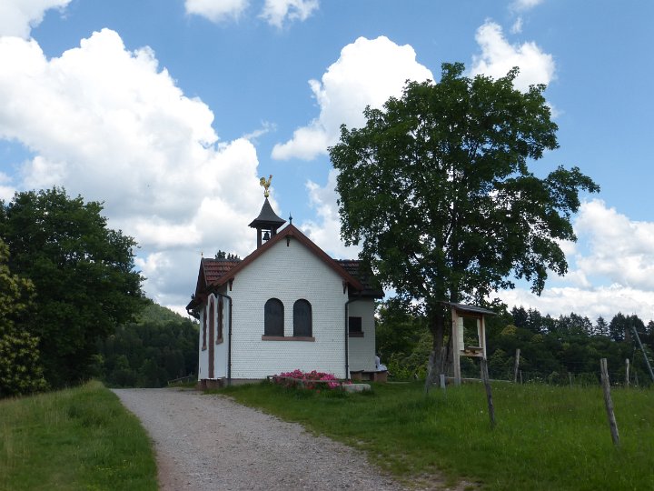 172.JPG